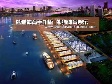 案例展示八