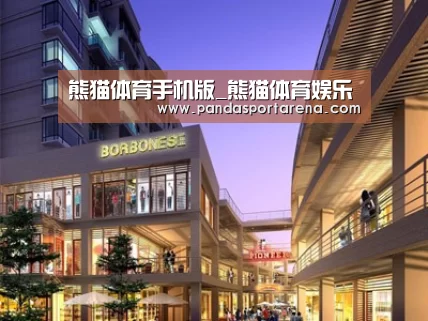 案例展示一