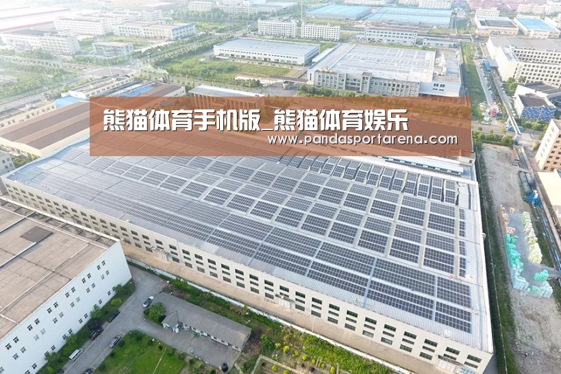 案例展示一