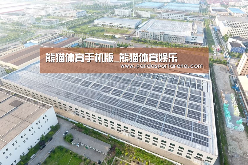 案例展示二
