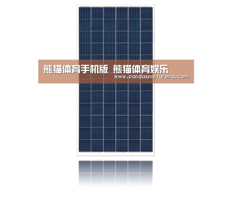 产品名称一