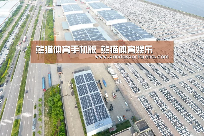 案例展示二