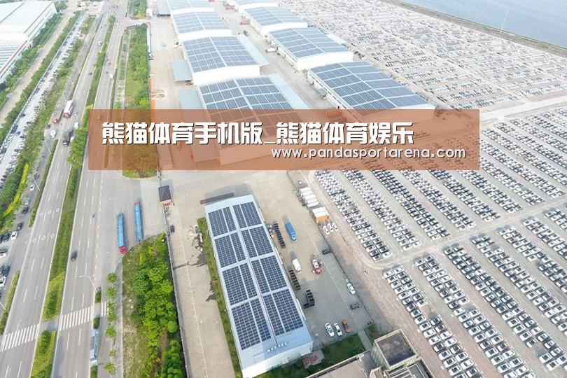 案例展示三