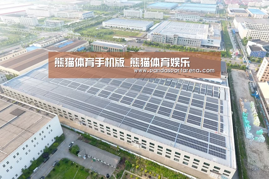 案例展示四