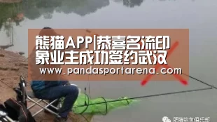 熊猫体育平台