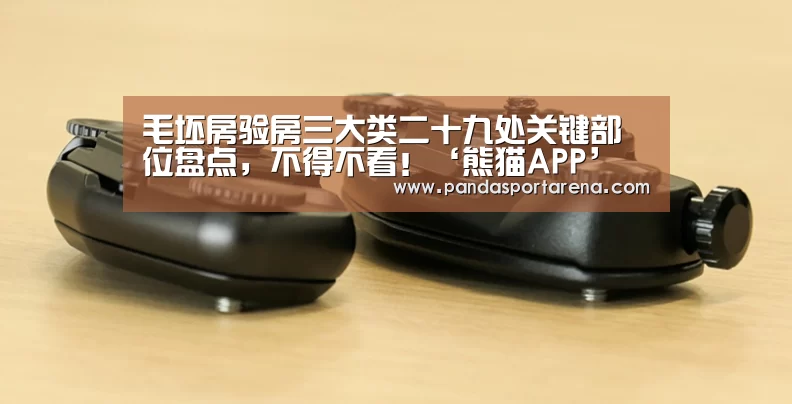 熊猫体育