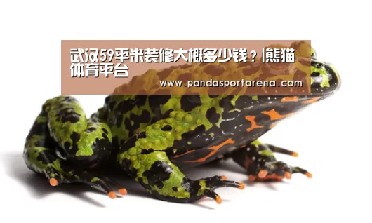 武汉59平米装修大概多少钱?|熊猫体育平台(图1) 熊猫体育